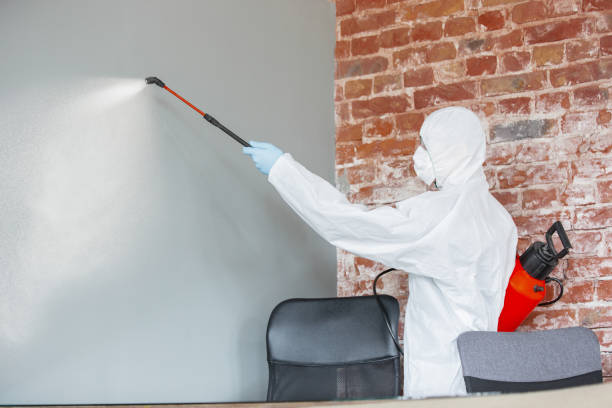 Best Post-Construction Mold Inspection  in Union City, IN