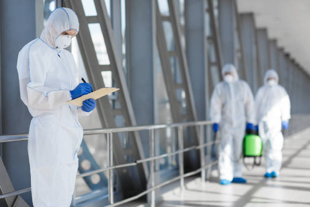 Best Real Estate Mold Inspection  in Union City, IN