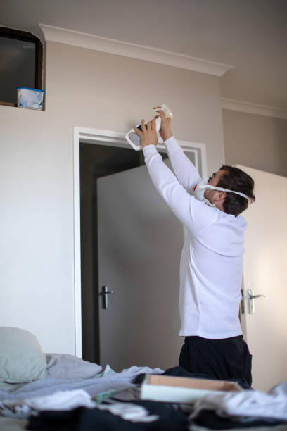 Best Attic Mold Removal  in Union City, IN