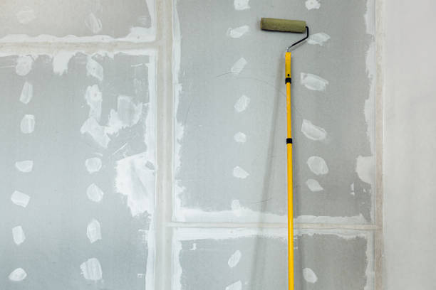 Best Asbestos and Lead Testing During Mold Inspection  in Union City, IN