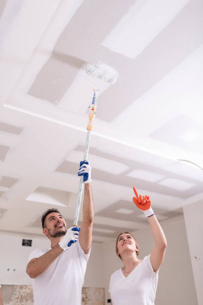 Best Emergency Mold Remediation  in Union City, IN