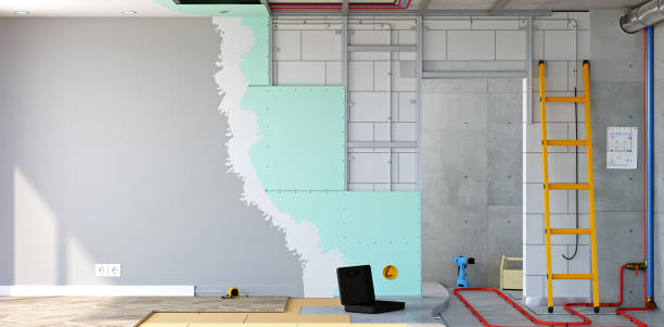 Best Black Mold Removal  in Union City, IN