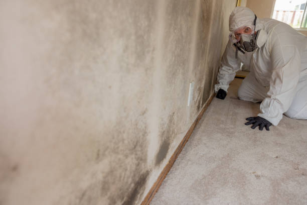 Dehumidification Services in Union City, IN